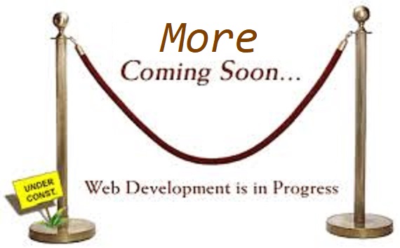 webdevelopment.jpg